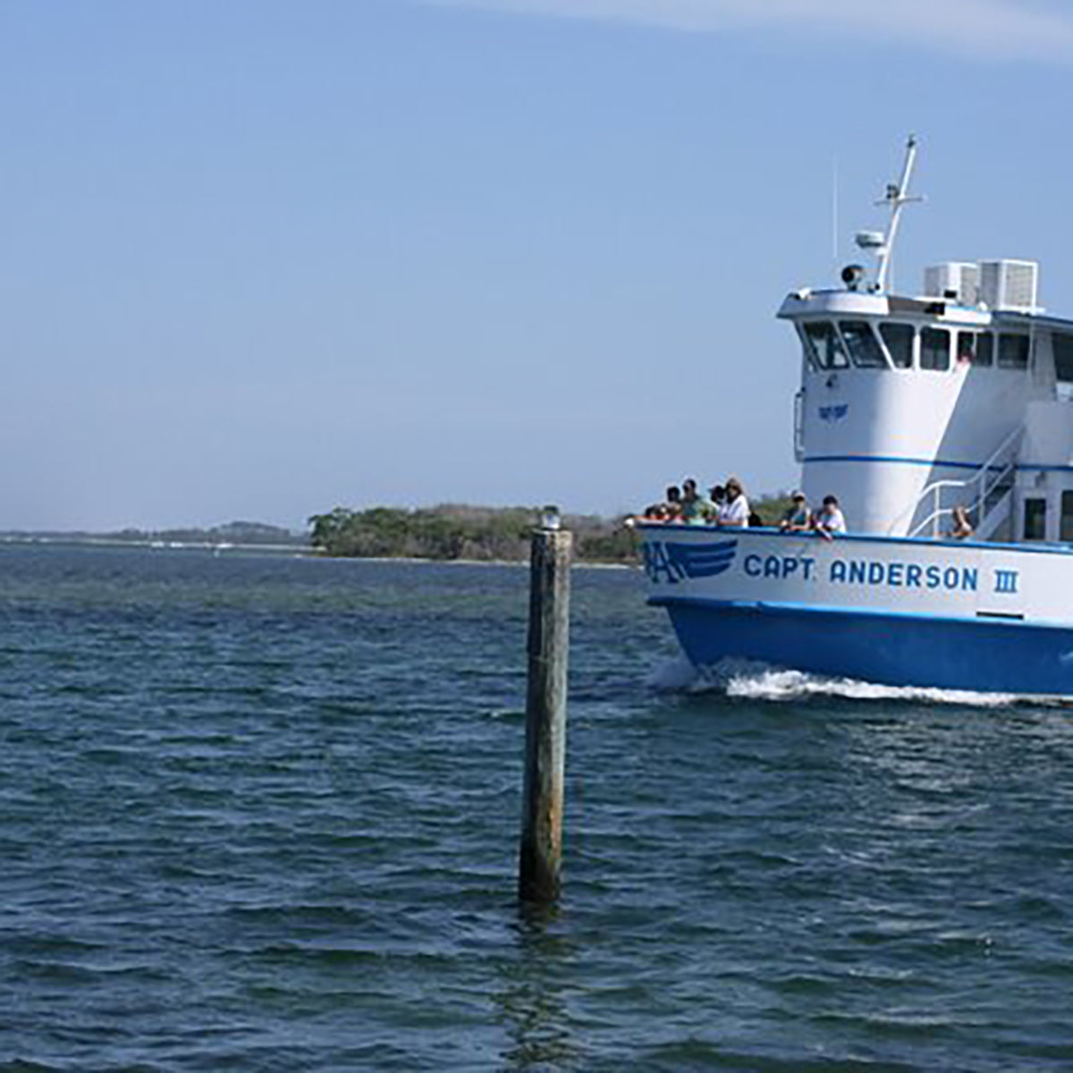 Solar Marine Light customer photo