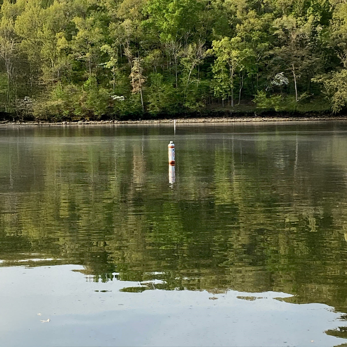Buoy floating in a calm lake with trees in the background